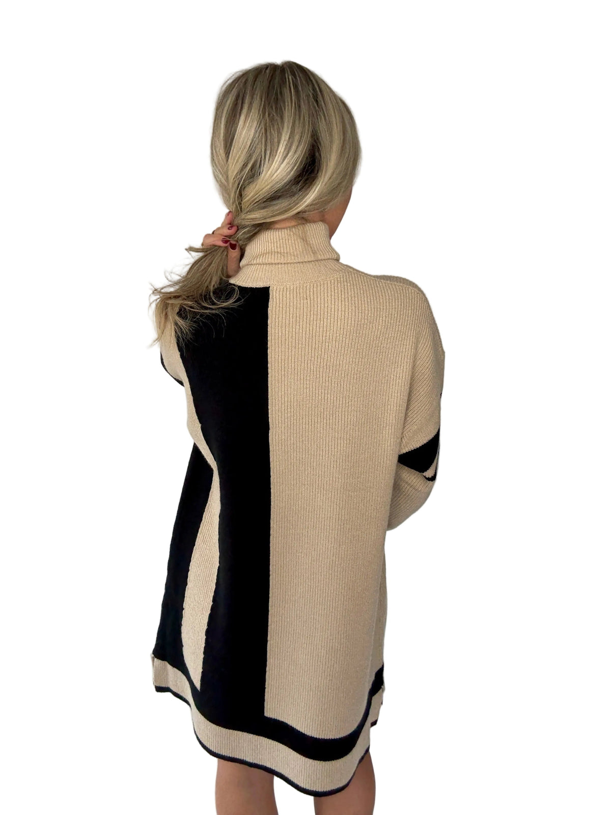 Contrast roll neck jumper dress
